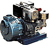 centrifugal pumps coupled to gasoline motors image